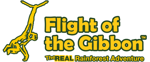 Flight of the gibbon