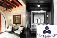 Mulberry Spa